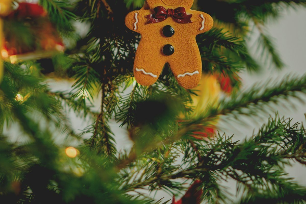 Biscoito de Gengibre Decorado